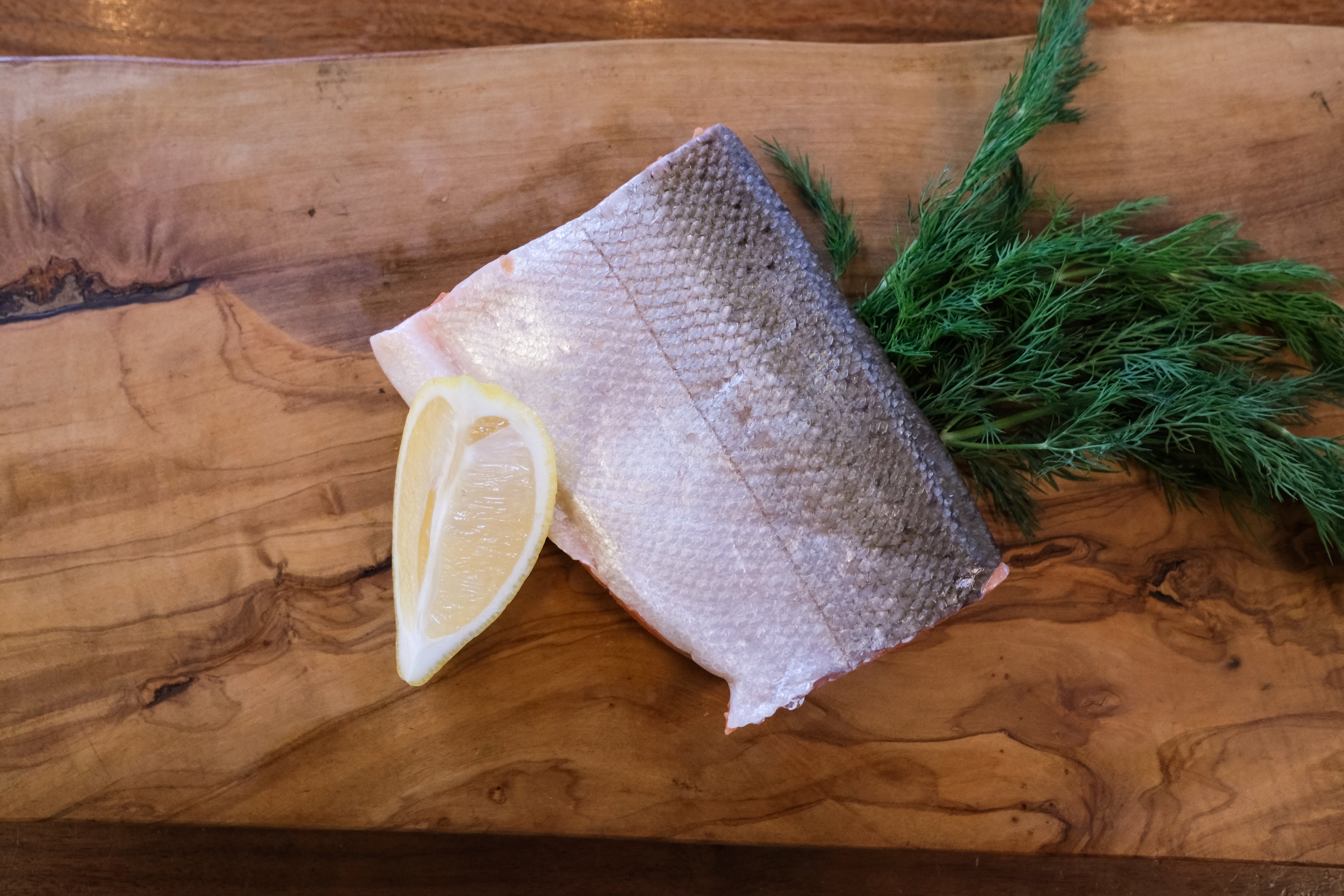 Wild Alaska Copper River Coho Salmon