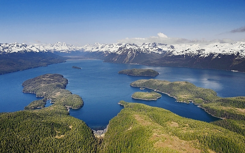 Wild Alaska Sablefish (Black cod)