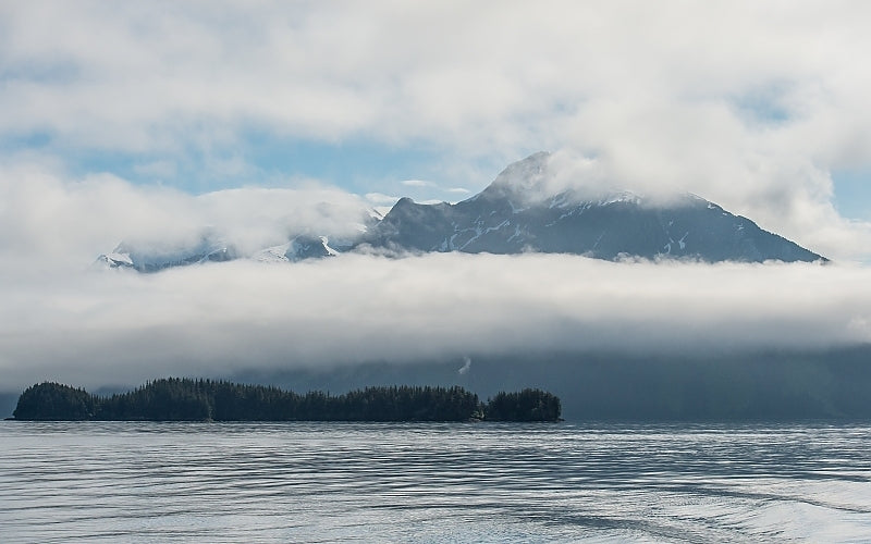 Wild Alaska Halibut Fillet
