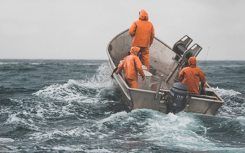 Wild Alaska Copper River Coho Salmon