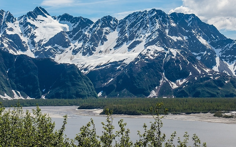 Wild Alaska Sablefish (Black cod)