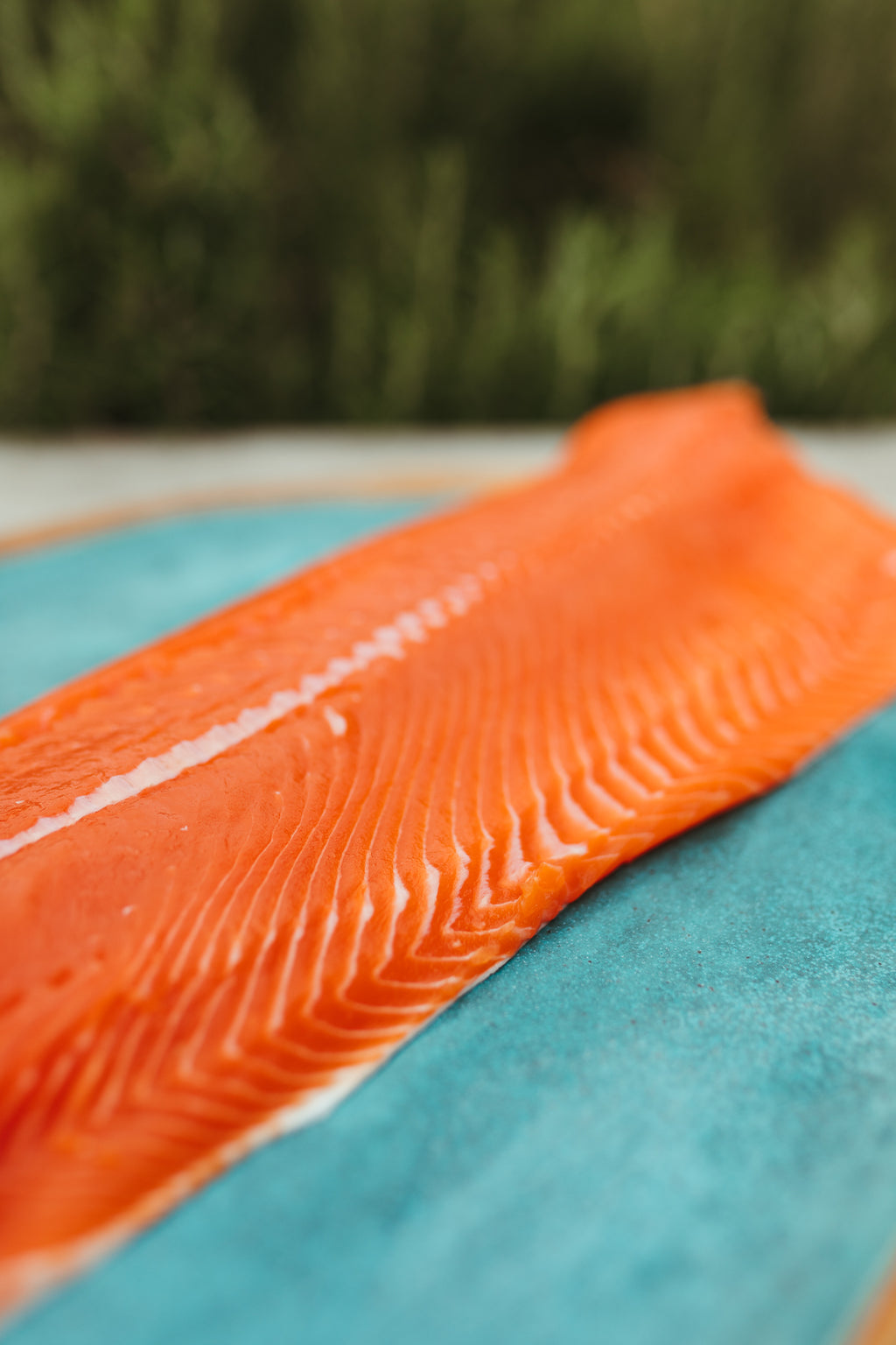 Wild Alaska Copper River Coho Salmon