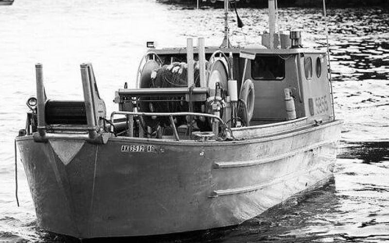 Wild Alaska Halibut Fillet