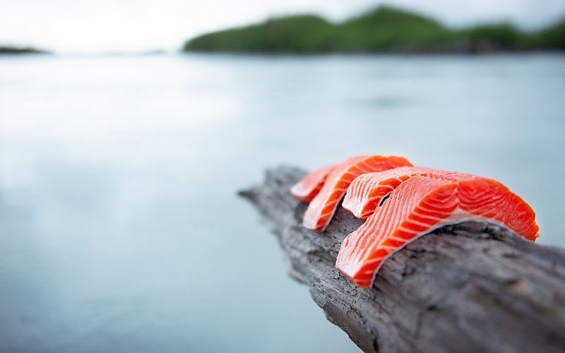 Wild Alaska Copper River Sockeye Salmon