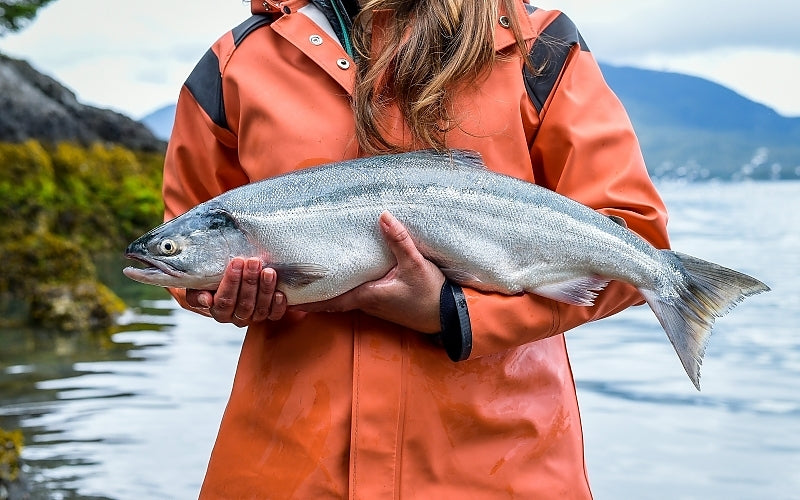 Wild Alaska Copper River Sockeye Salmon