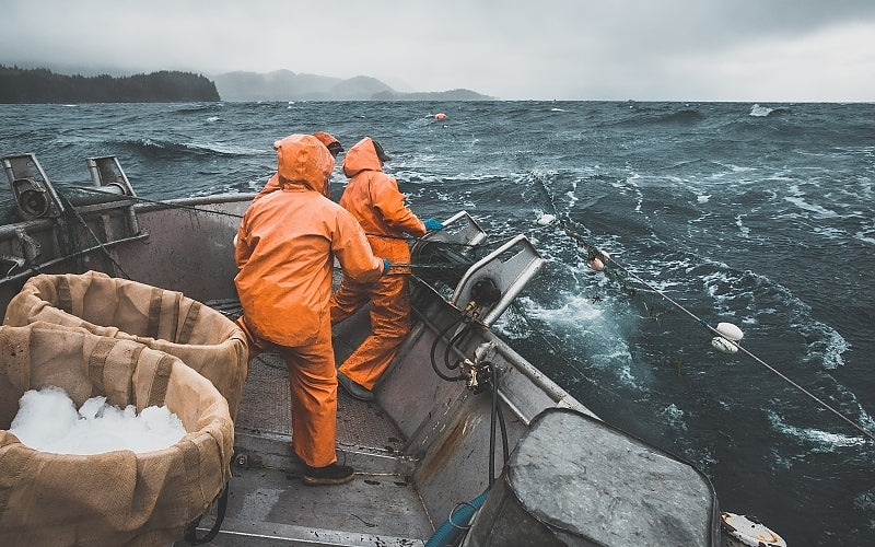 Wild Alaska Copper River Sockeye Salmon
